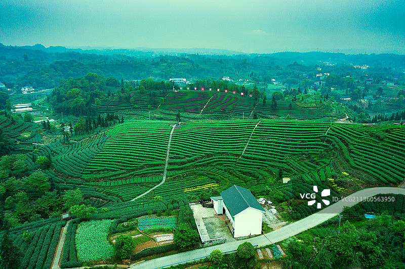 航拍茶山风光图片素材