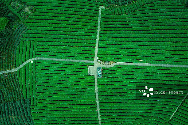 航拍茶山风光图片素材