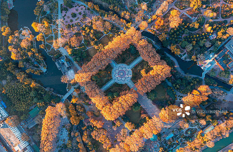 郑州人民公园晨曦图片素材