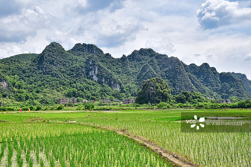 喀斯特地貌下的水稻田图片素材