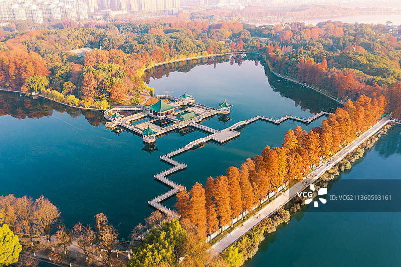武汉东湖听涛景区-碧潭观鱼图片素材