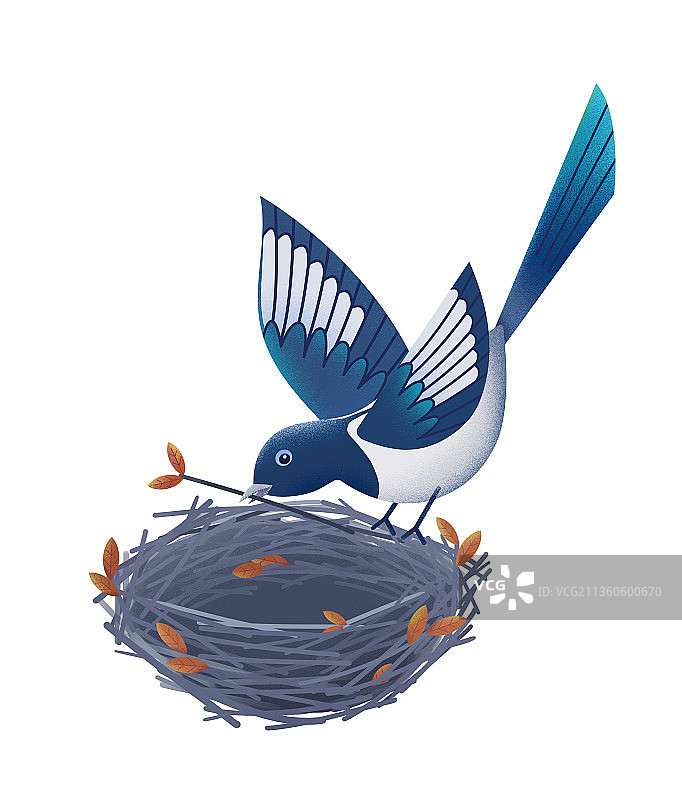 喜鹊筑巢图片素材