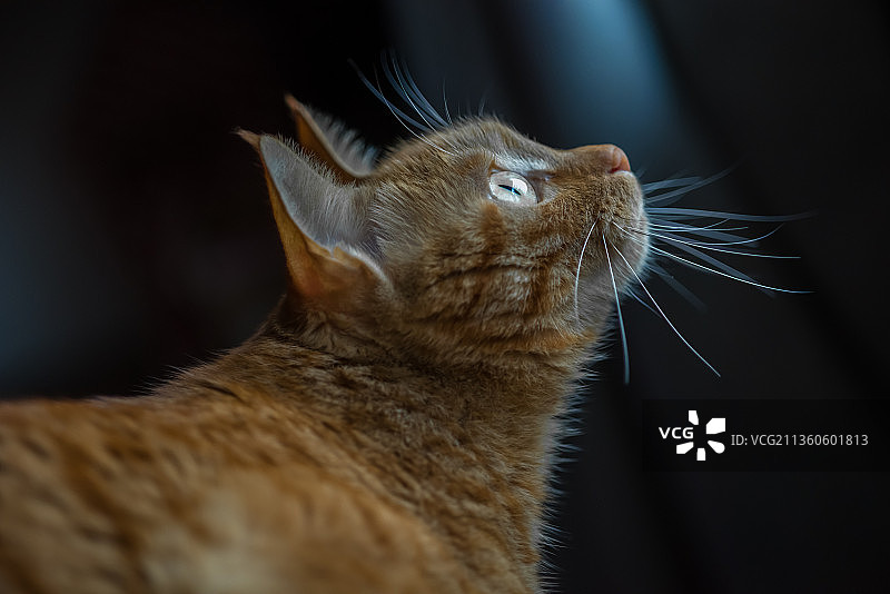 当你凝视深渊时，深渊也在凝视你。图片素材