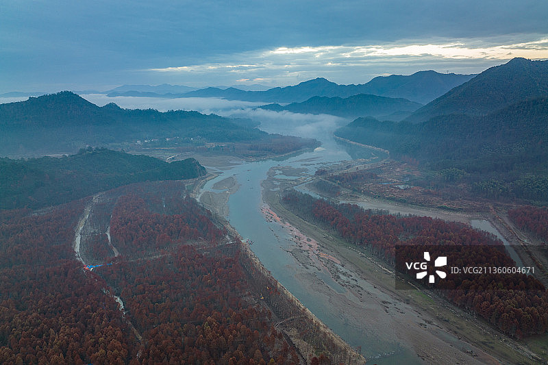安徽省宣城市宁国市方塘乡青龙湾水库红衫林图片素材