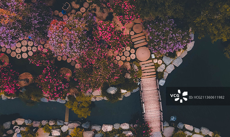 中国唐苑航拍，水池、花、树、古建筑图片素材