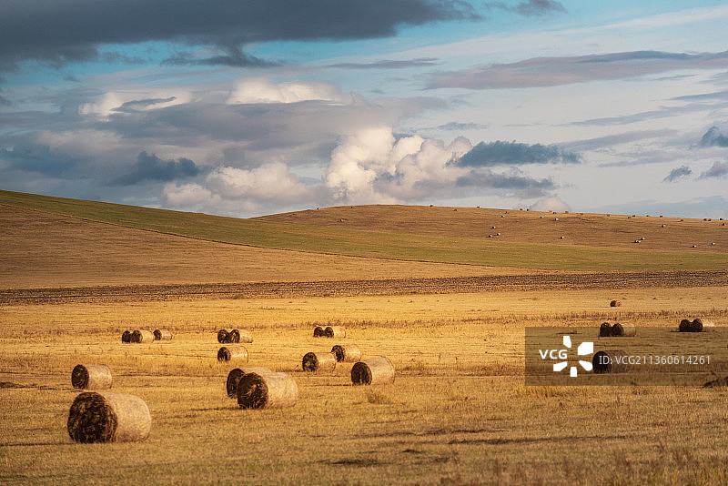 呼伦贝尔之秋图片素材