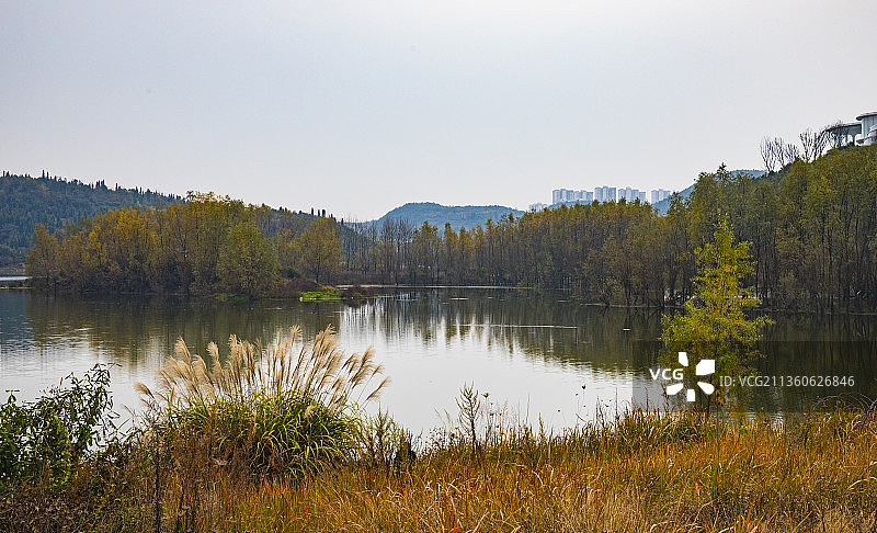 中国贵州贵阳市清镇红枫湖湿地公园局部图片素材