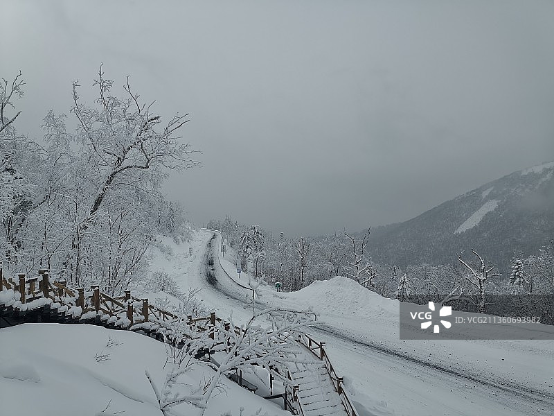 飘向北方图片素材