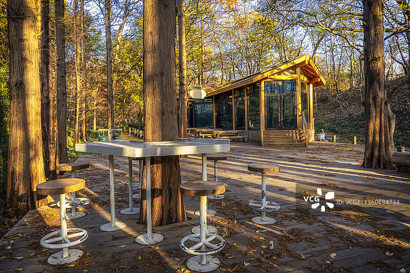 户外城市公园树林小木屋图片素材