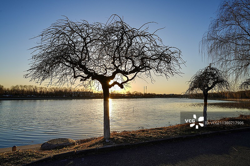 北京罗马湖冬日暖阳图片素材
