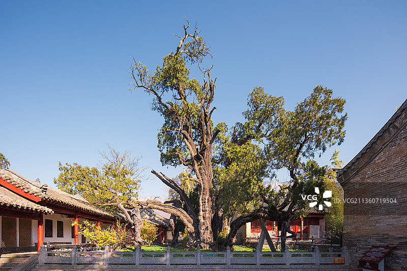 登封嵩阳书院图片素材