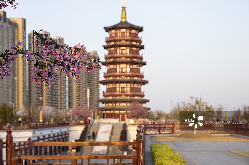 中国河南省洛阳市瀍河区朱樱塔湿地公园春暖花开图片素材