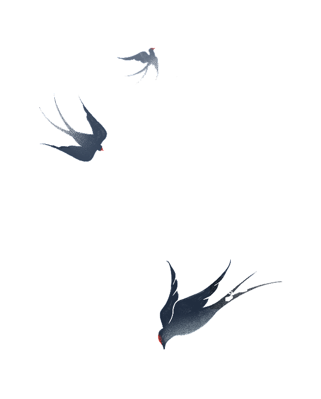 三只形态不同的燕子插画元素图片素材