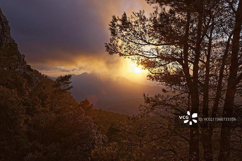 特拉蒙塔纳山脉的日落，索列尔上方的阿勒颇松树，西班牙马略卡岛图片素材