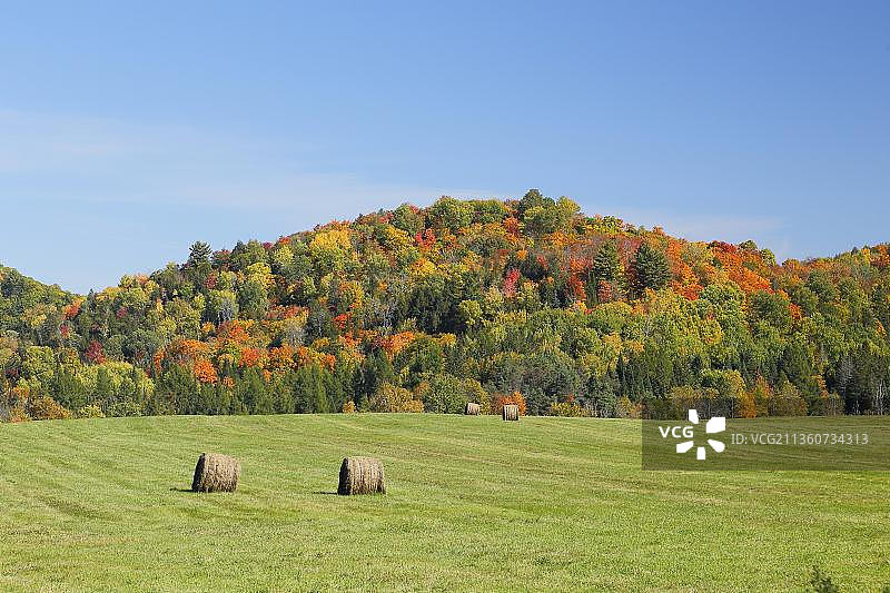 加拿大魁北克省红河区域的秋季景观图片素材