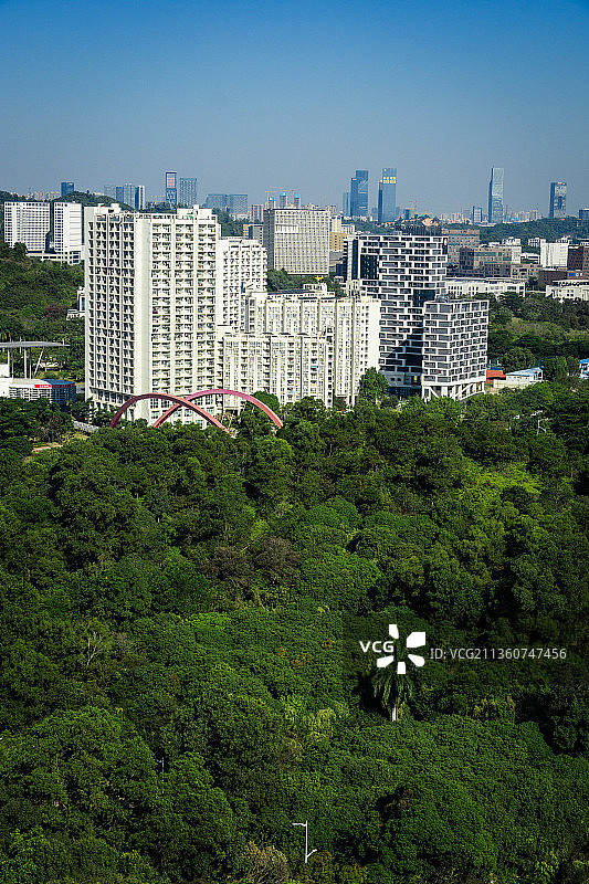 深圳大学城 高楼与丛林图片素材