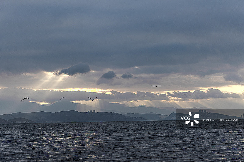 飞翔在光影中——洱海风光图片素材