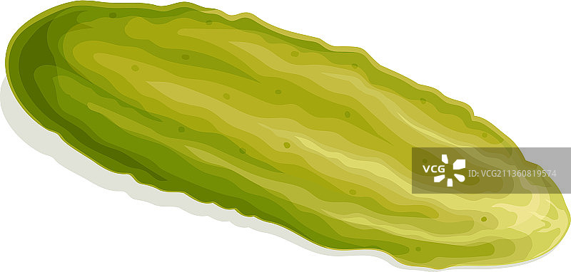 白色背景下的腌黄瓜或小黄瓜图片素材