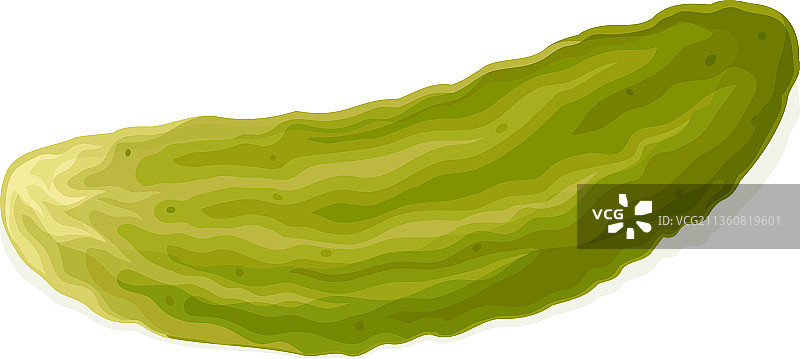 白色背景下的腌黄瓜或小黄瓜图片素材