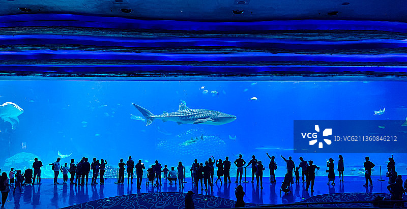 海洋世界图片素材