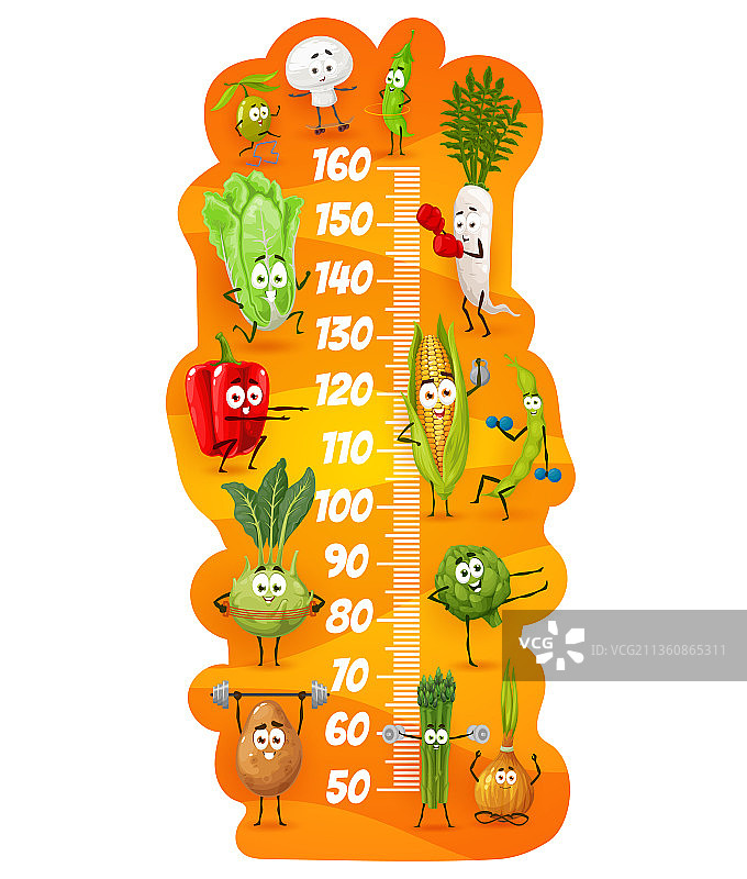 儿童身高测量表蔬菜运动员角色图片素材