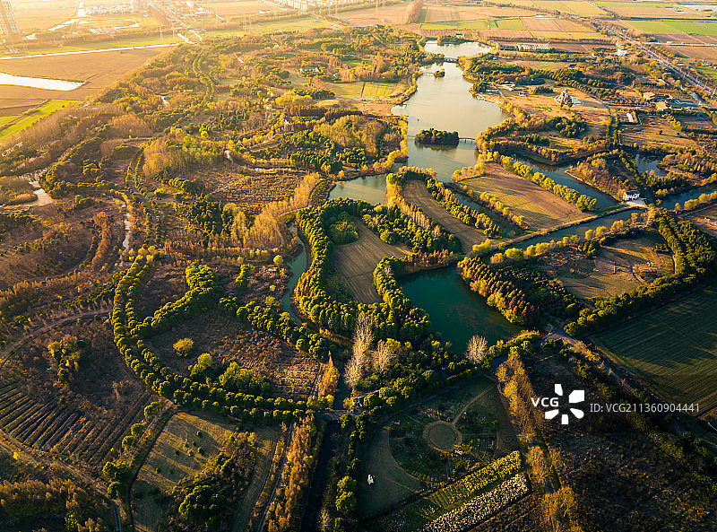 南通如皋长江金岛生态园图片素材