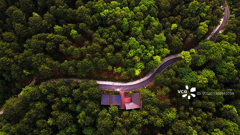 鹿原坡春色图片素材