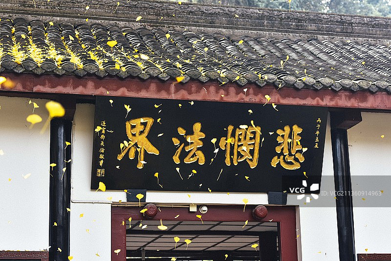 成都银杏 文殊院的牌匾图片素材