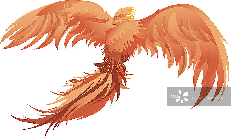 凤凰百鸟之王朱雀中国传说故事矢量插画图片素材