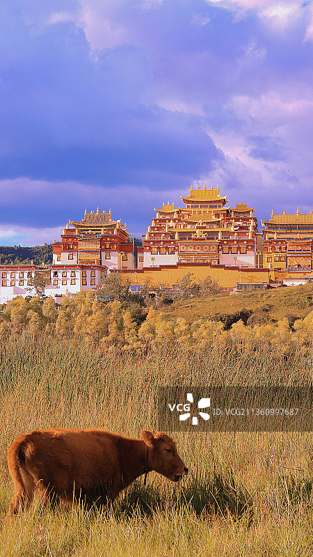 松赞林寺图片素材