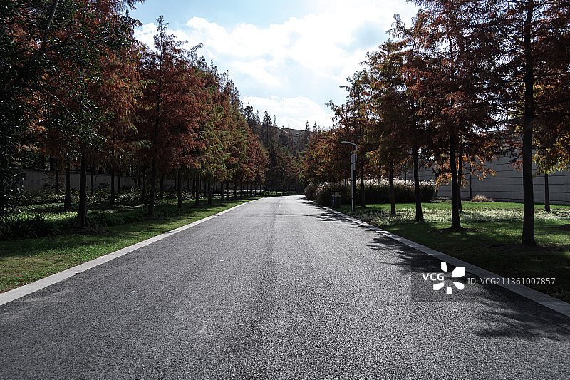 秋季公路美景图片素材