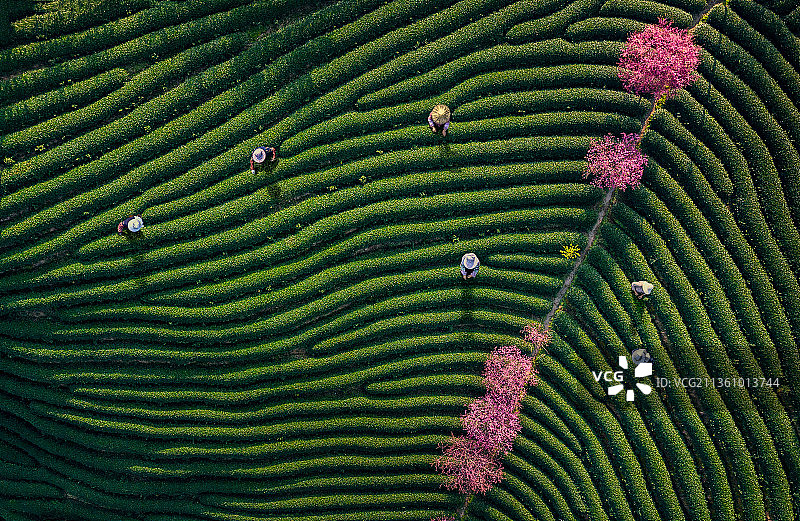 春天的音符图片素材