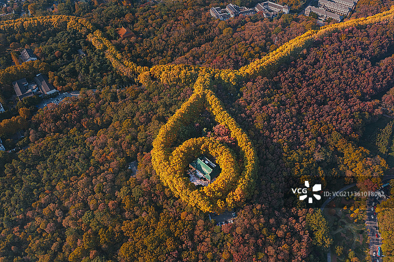 南京秋色图片素材