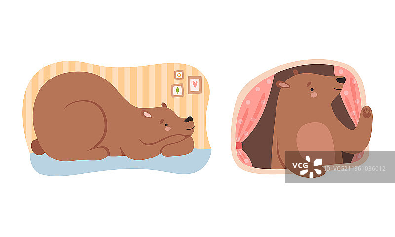 可爱小熊睡觉并向窗外看图片素材