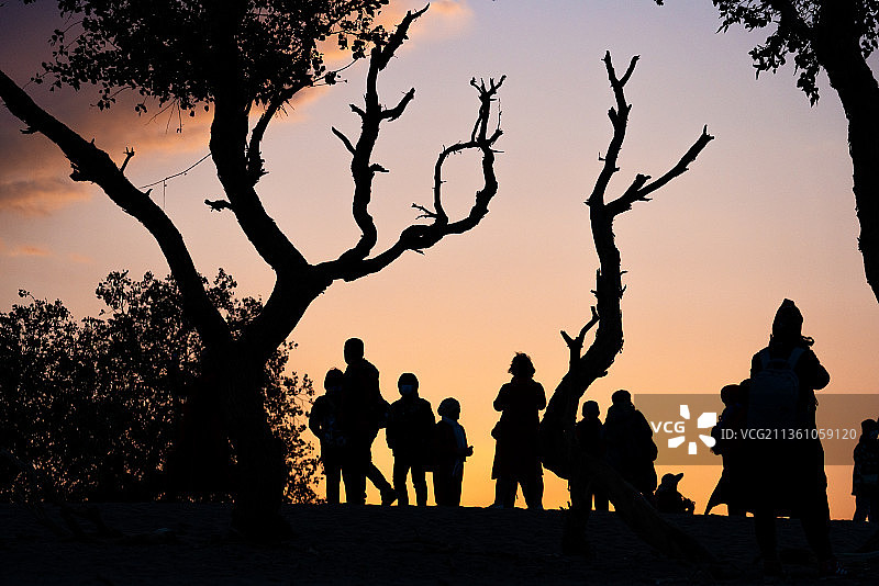 夕阳下的剪影图片素材