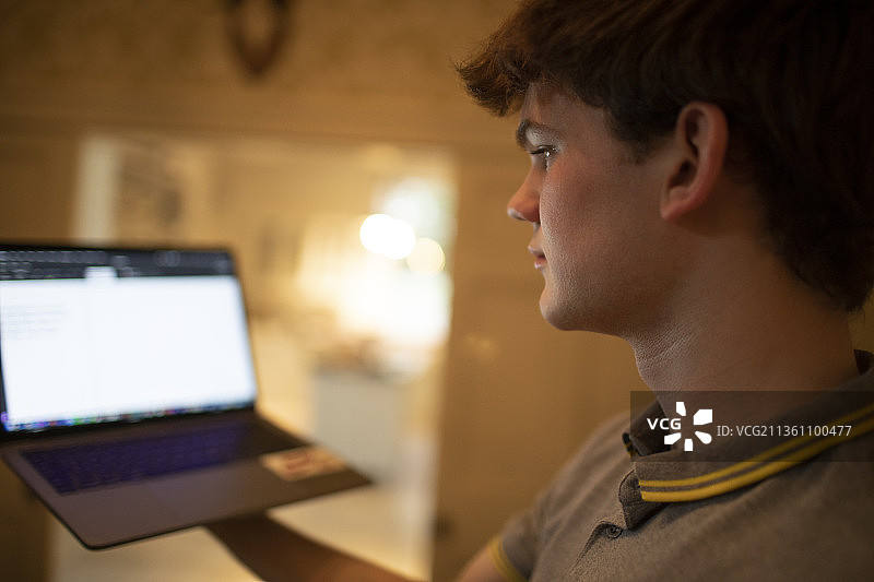 少年在家使用笔记本电脑图片素材