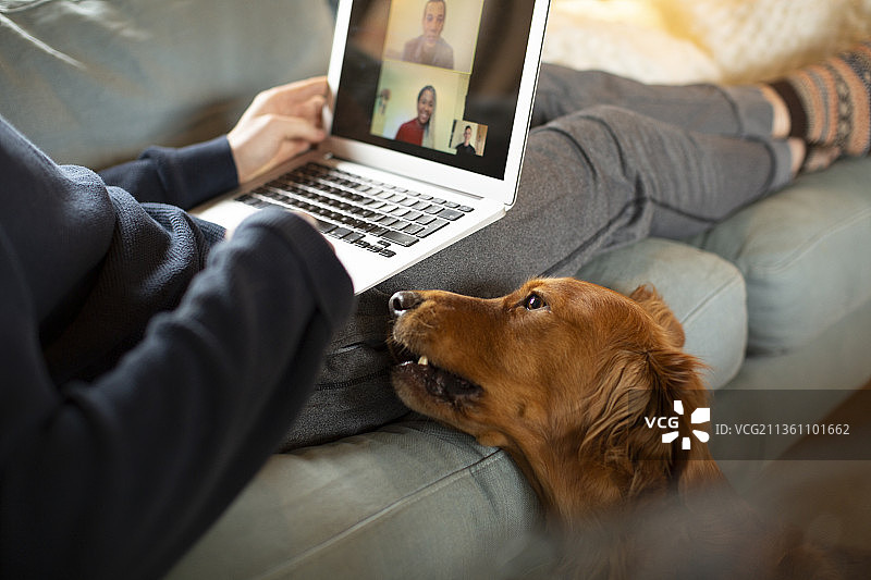 男子与狗通过笔记本电脑屏幕与同事进行视频会议图片素材