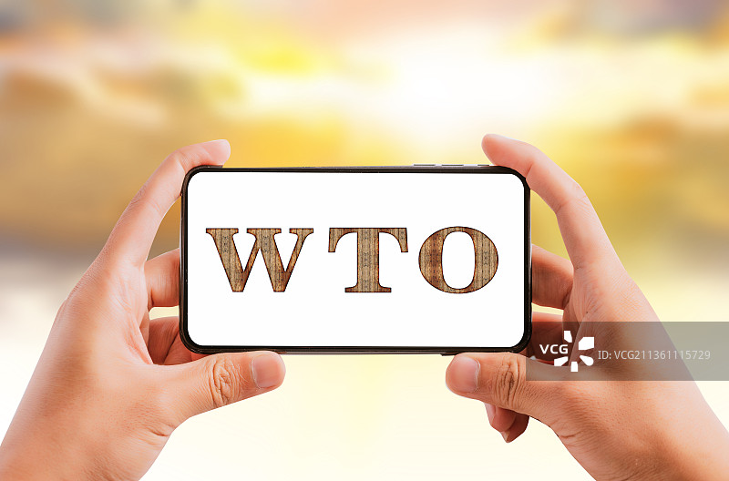 世界贸易组织 世贸组织 WTO图片素材
