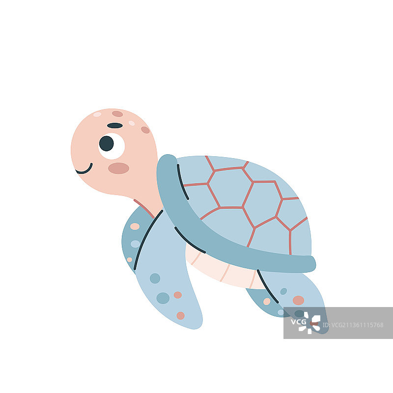 海龟，矢量，插画，扁平风，可爱的，海洋生物图片素材