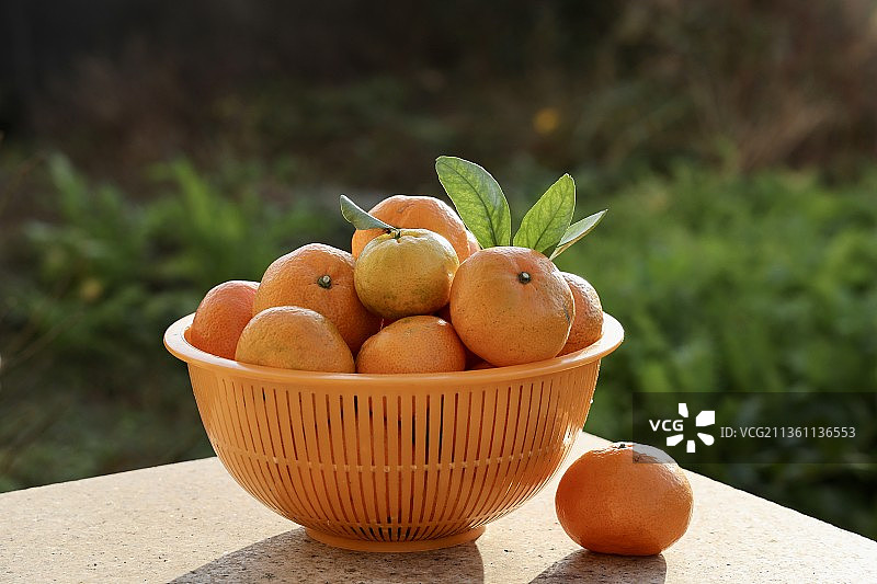 一箩桔子图片素材