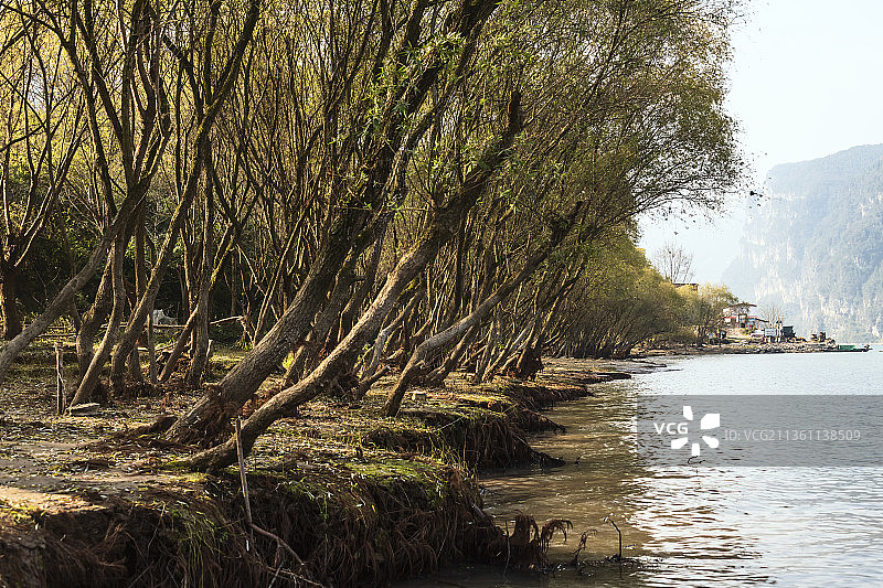 长江岸边露营休闲地图片素材