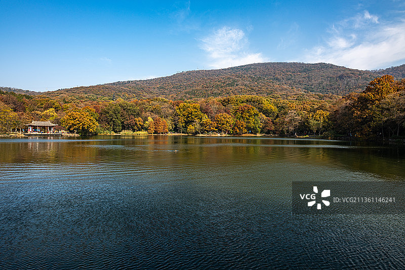 江苏南京明孝陵.紫霞湖秋色自然风光图片素材