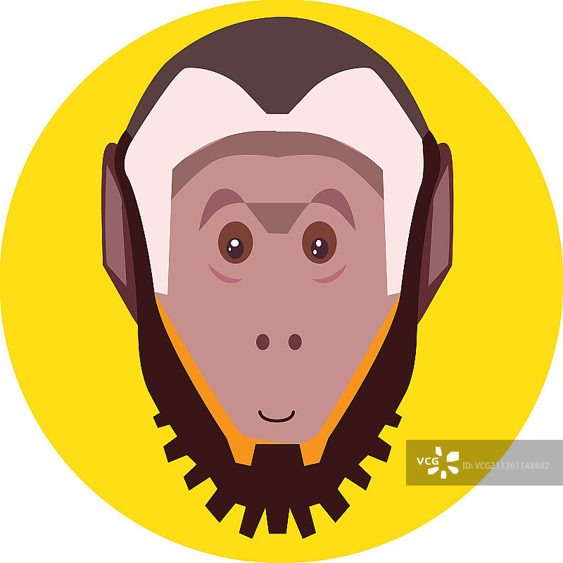 卷尾猴图片素材