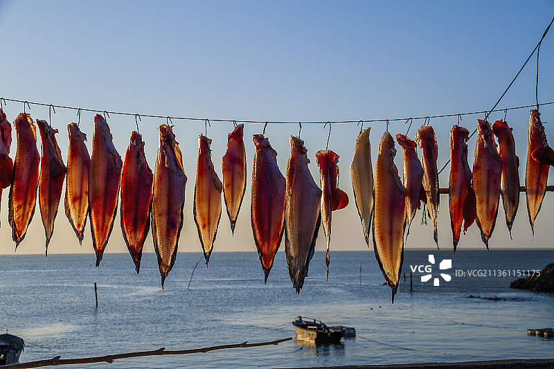 晒咸鱼图片素材