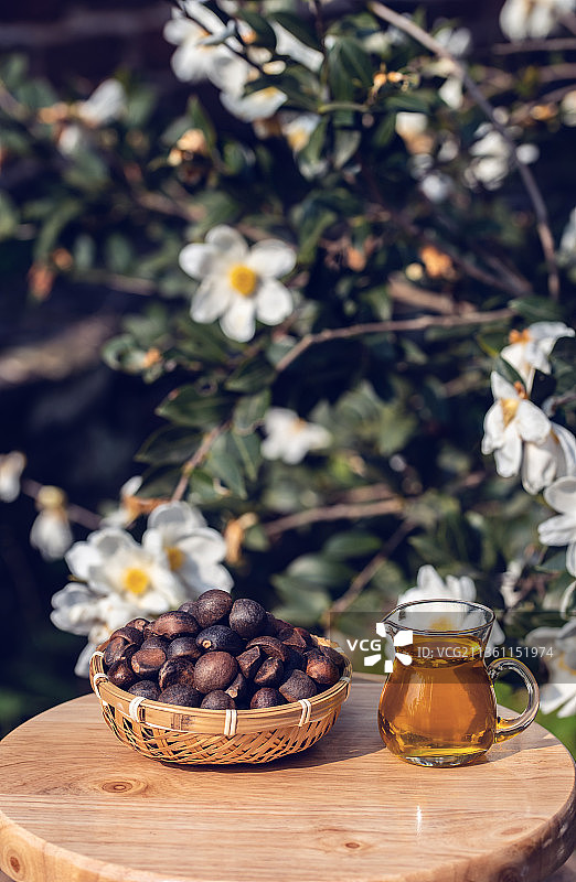 营养健康的茶油图片素材