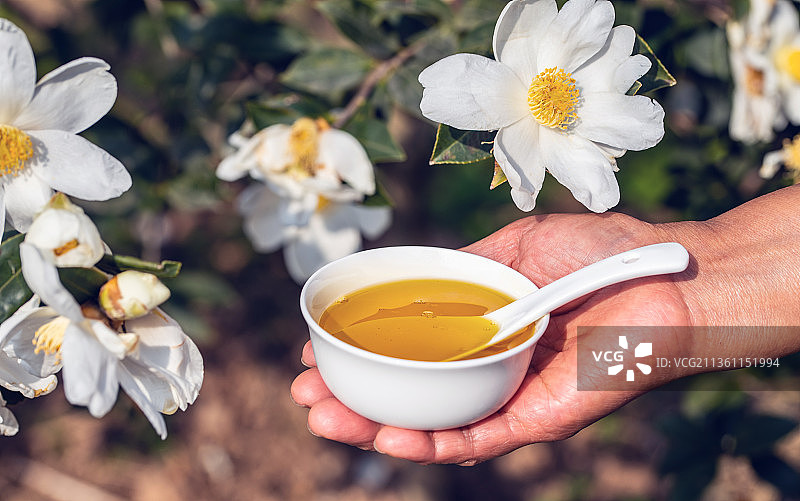 手捧一碗金黄色的茶籽油图片素材