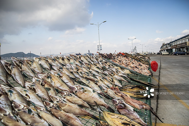 晒鱼干图片素材