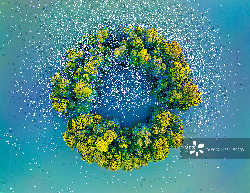 倦鸟归巢图片素材