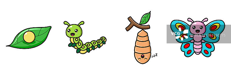 蝴蝶蜕变图片素材