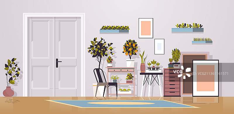 温室盆栽植物货架园艺图片素材